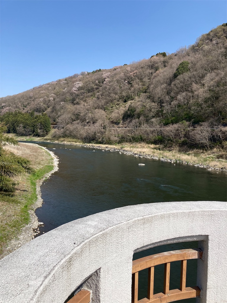 f:id:masaru-arameya:20220411072903j:image f:id:masaru-arameya:20220411072903j:image