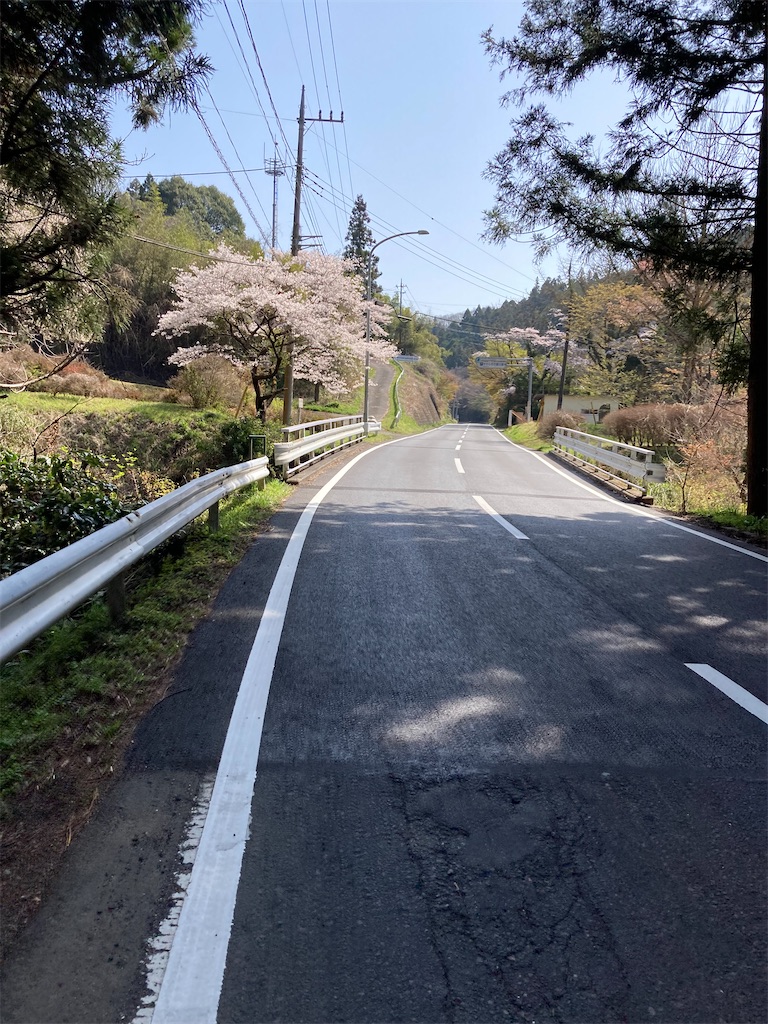 f:id:masaru-arameya:20220411073238j:image f:id:masaru-arameya:20220411073238j:image
