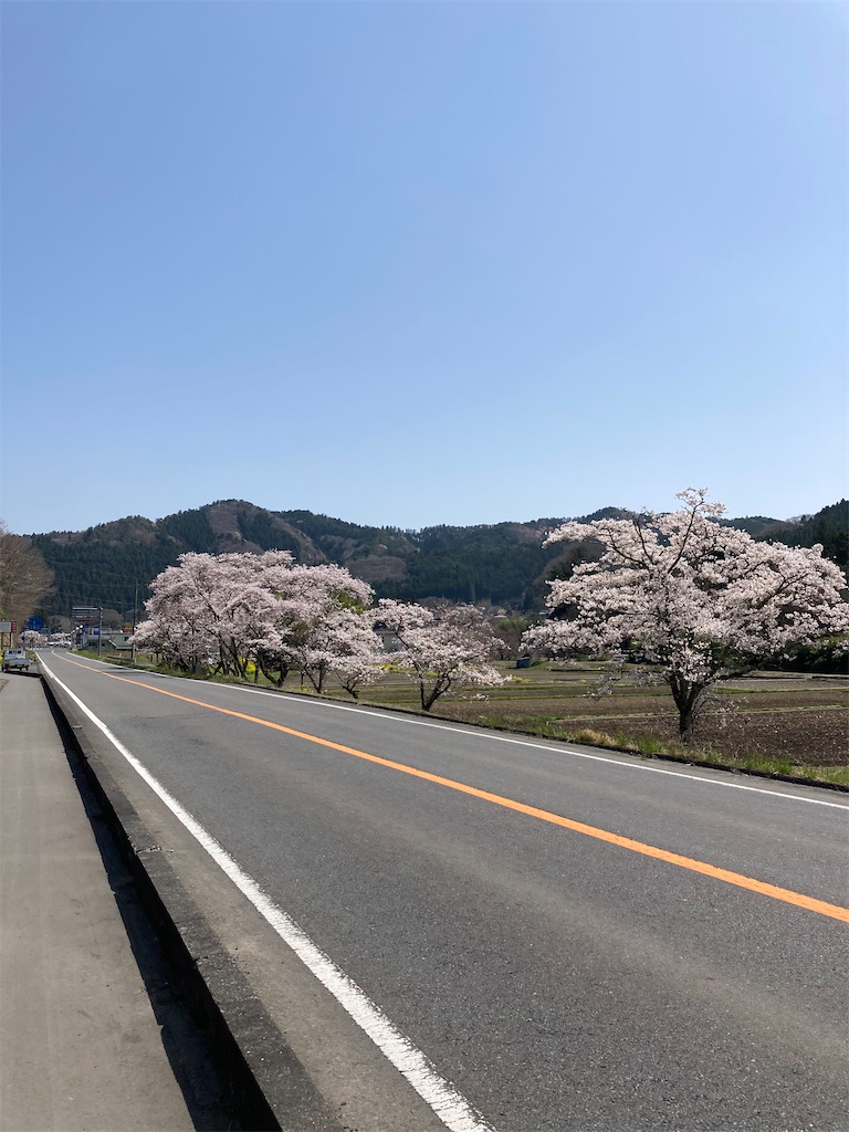 f:id:masaru-arameya:20220411074103j:image f:id:masaru-arameya:20220411074103j:image