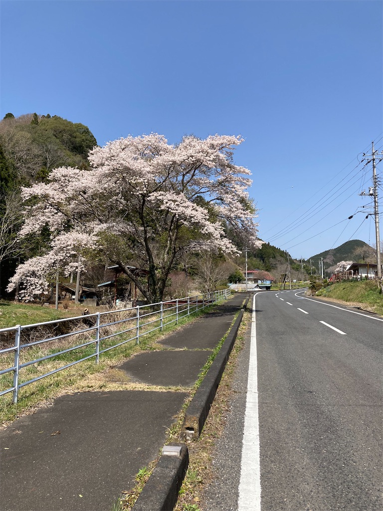 f:id:masaru-arameya:20220411074356j:image f:id:masaru-arameya:20220411074356j:image