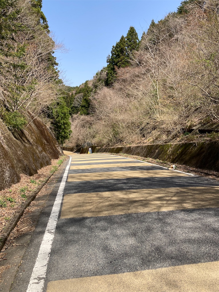 f:id:masaru-arameya:20220411074604j:image f:id:masaru-arameya:20220411074604j:image
