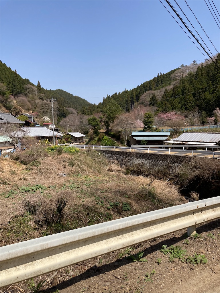 f:id:masaru-arameya:20220411074607j:image f:id:masaru-arameya:20220411074607j:image