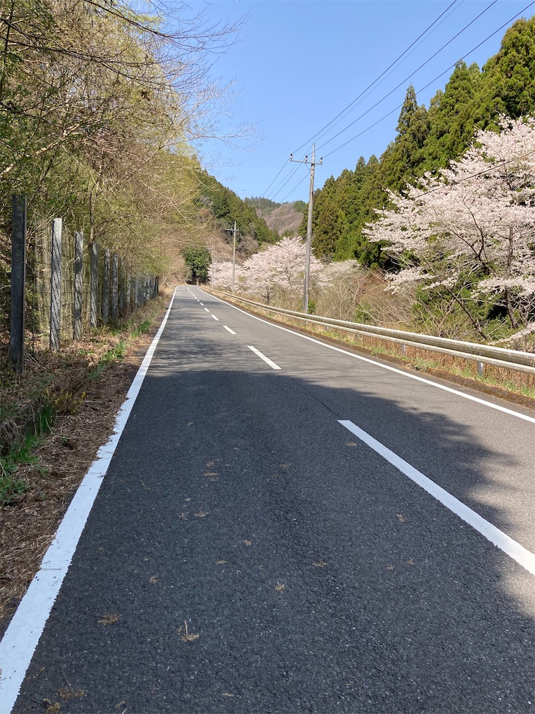 f:id:masaru-arameya:20220411211757j:image f:id:masaru-arameya:20220411211757j:image