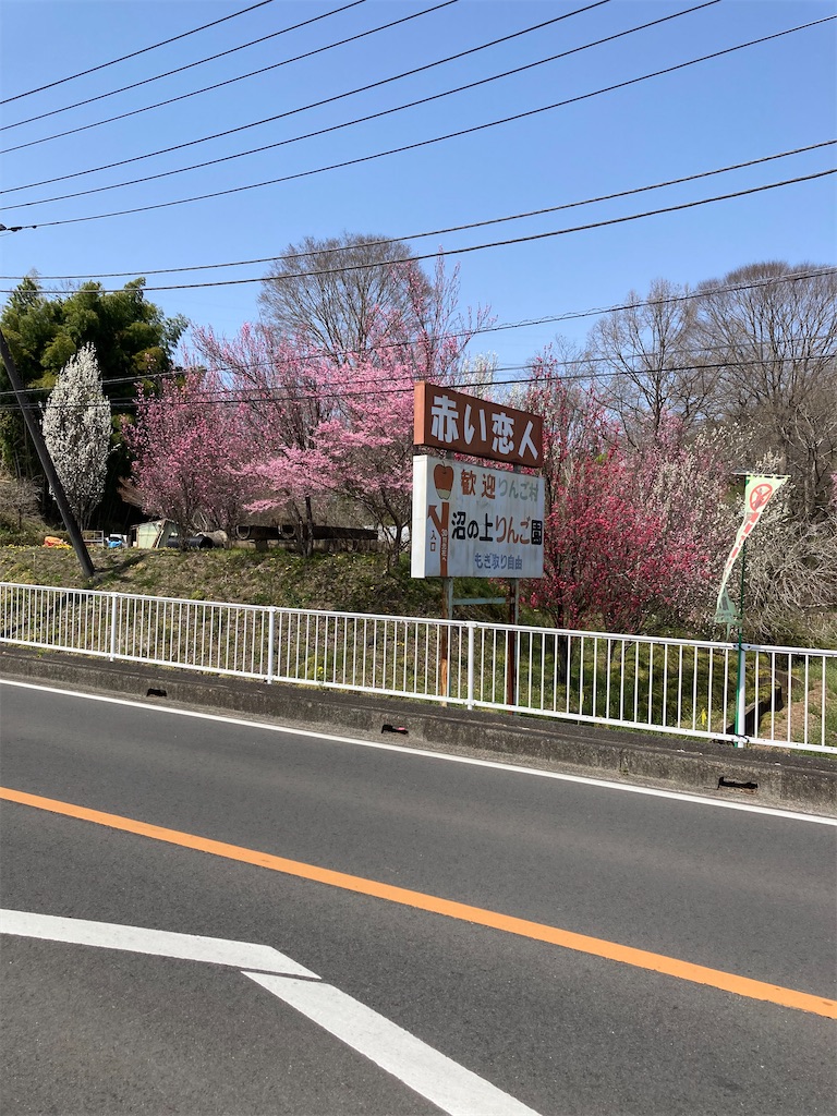 f:id:masaru-arameya:20220413074405j:image f:id:masaru-arameya:20220413074405j:image
