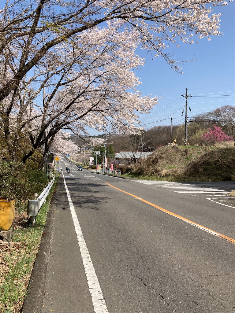 f:id:masaru-arameya:20220413094500j:image f:id:masaru-arameya:20220413094500j:image