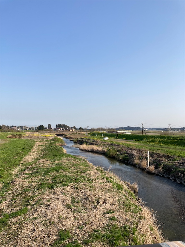 f:id:masaru-arameya:20220413101733j:image f:id:masaru-arameya:20220413101733j:image