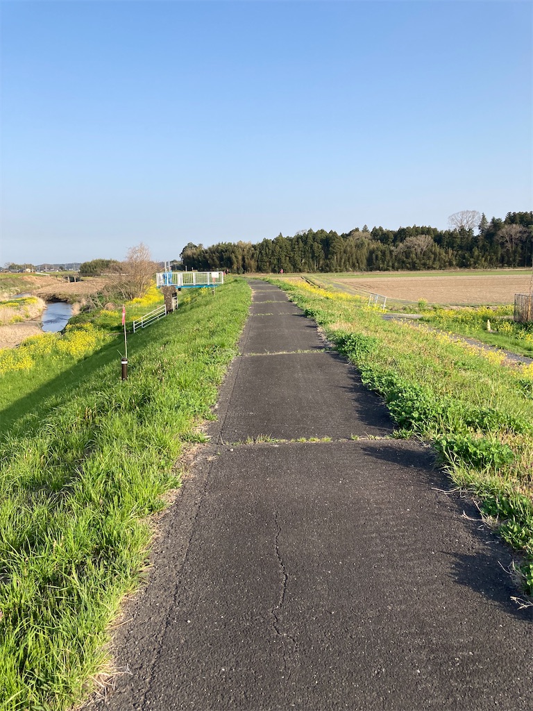 f:id:masaru-arameya:20220413101820j:image f:id:masaru-arameya:20220413101820j:image