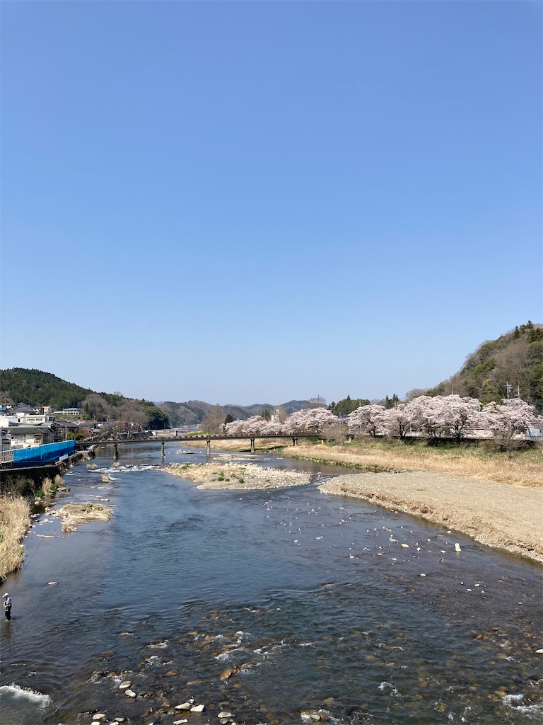 f:id:masaru-arameya:20220413164830j:image f:id:masaru-arameya:20220413164830j:image