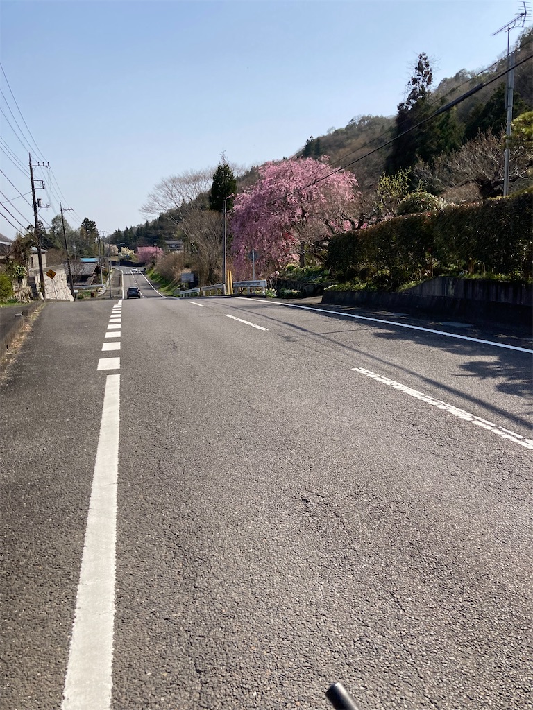 f:id:masaru-arameya:20220414115345j:image f:id:masaru-arameya:20220414115345j:image