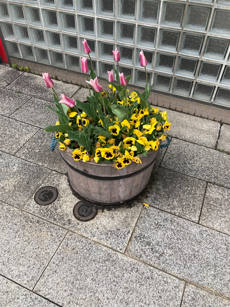 f:id:masaru-arameya:20220417183607j:image f:id:masaru-arameya:20220417183607j:image
