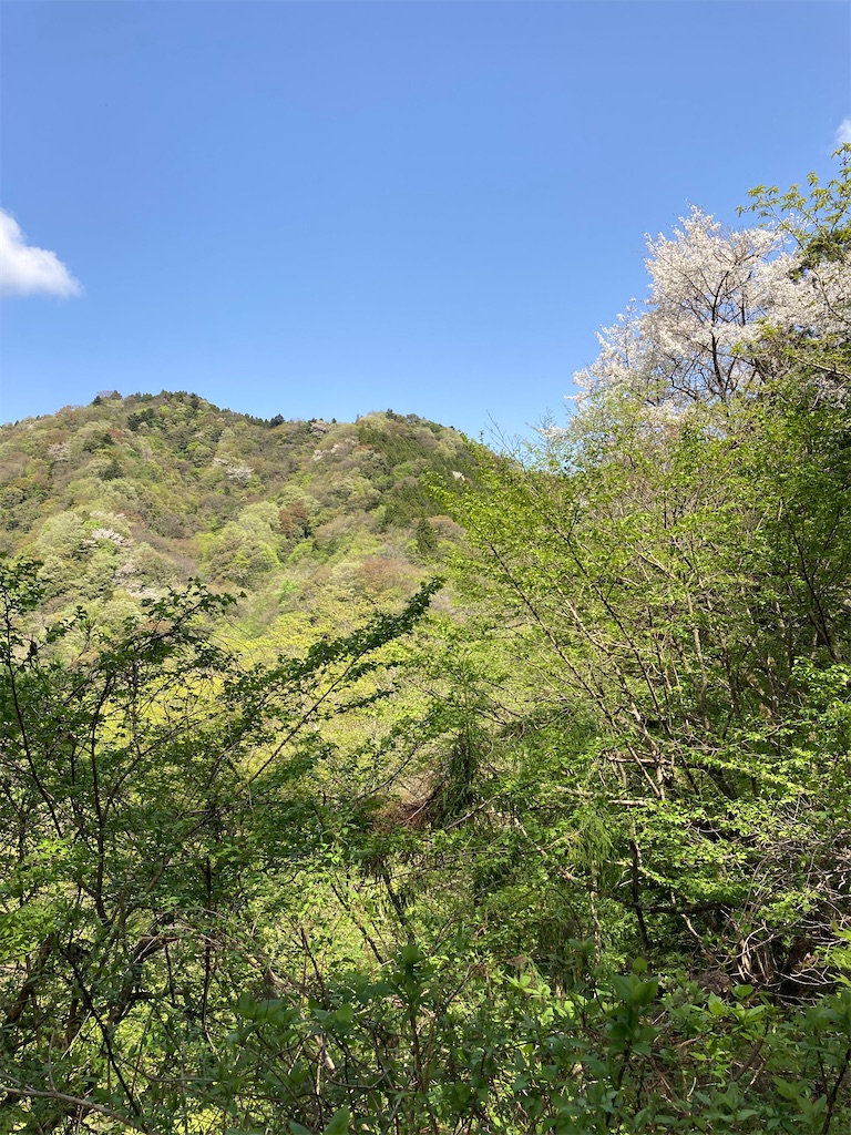 f:id:masaru-arameya:20220422162955j:image f:id:masaru-arameya:20220422162955j:image
