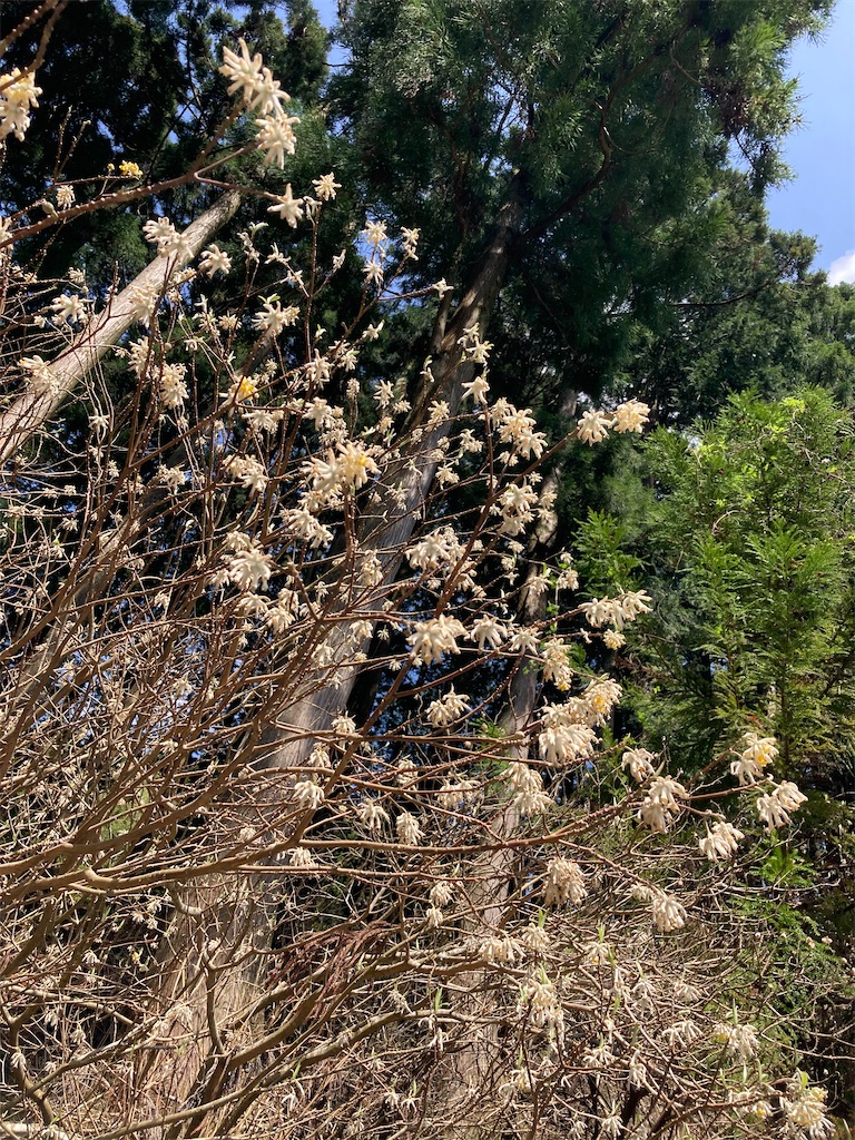 f:id:masaru-arameya:20220422163624j:image f:id:masaru-arameya:20220422163624j:image