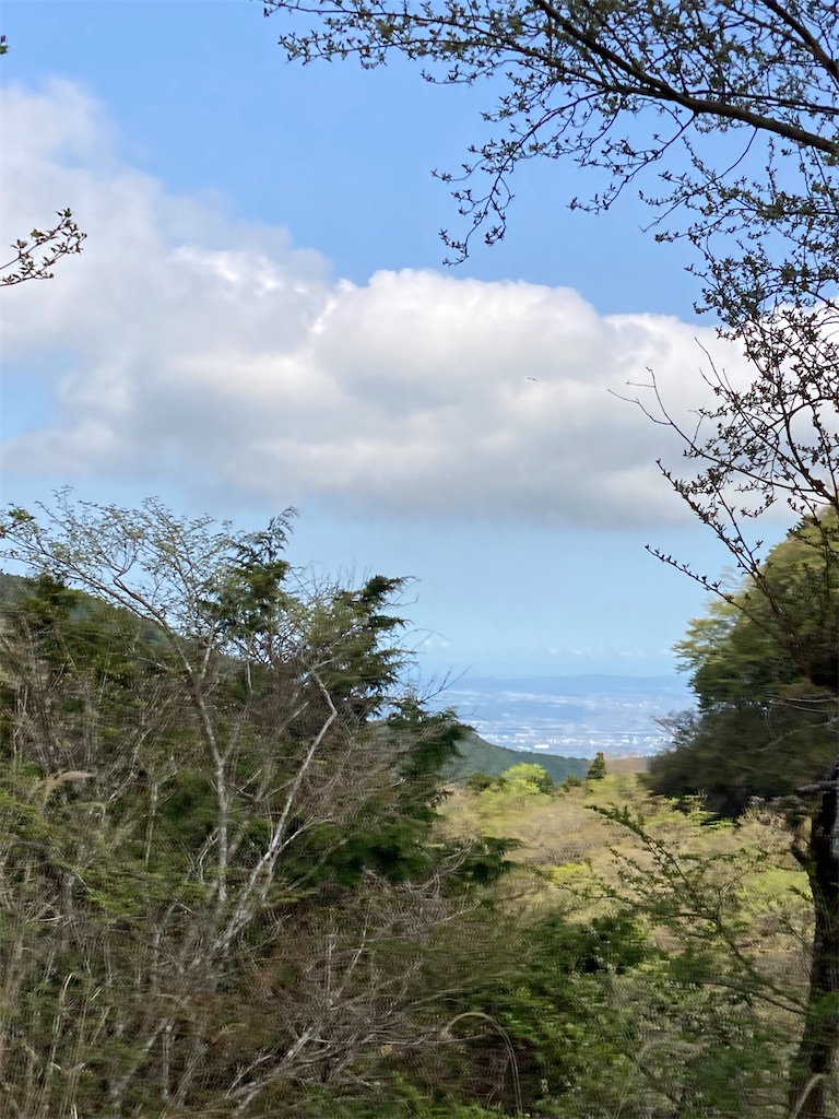 f:id:masaru-arameya:20220422164240j:image f:id:masaru-arameya:20220422164240j:image