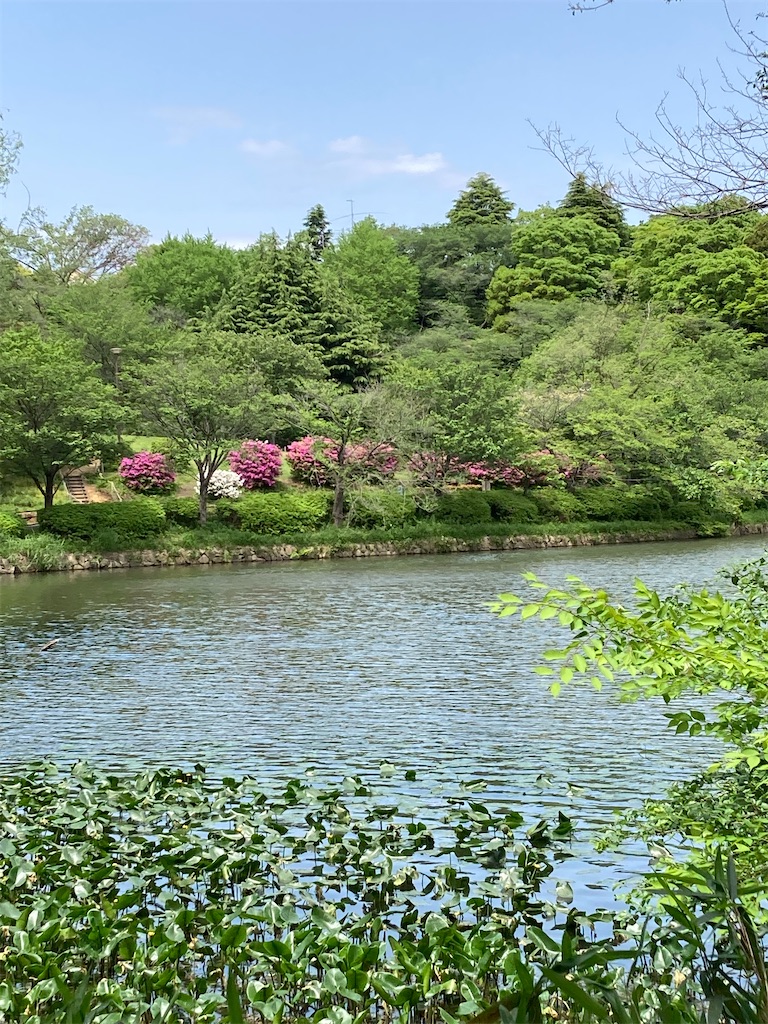 f:id:masaru-arameya:20220428130430j:image f:id:masaru-arameya:20220428130430j:image