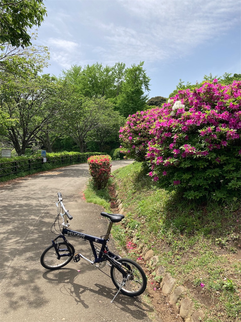 f:id:masaru-arameya:20220428130432j:image f:id:masaru-arameya:20220428130432j:image