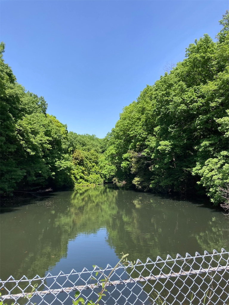 f:id:masaru-arameya:20220430194719j:image f:id:masaru-arameya:20220430194719j:image