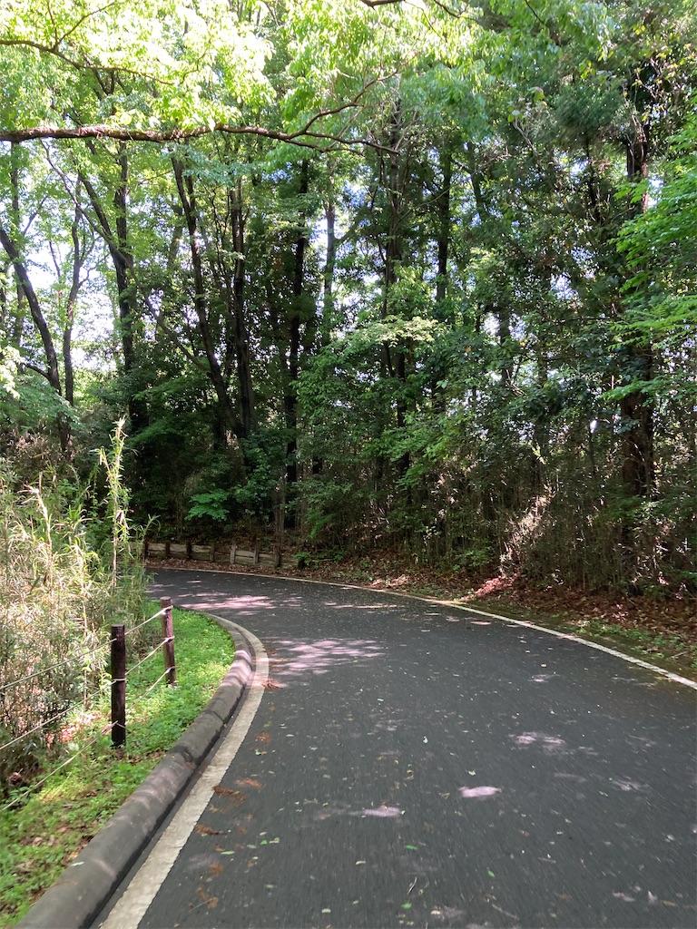 f:id:masaru-arameya:20220501101653j:image f:id:masaru-arameya:20220501101653j:image