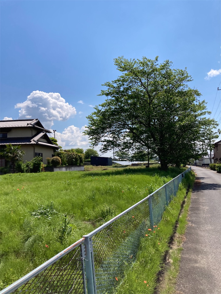f:id:masaru-arameya:20220504164149j:image f:id:masaru-arameya:20220504164149j:image