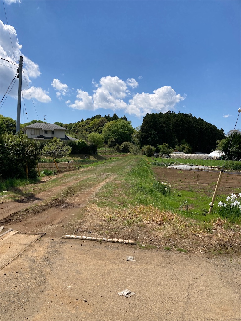 f:id:masaru-arameya:20220506215357j:image f:id:masaru-arameya:20220506215357j:image