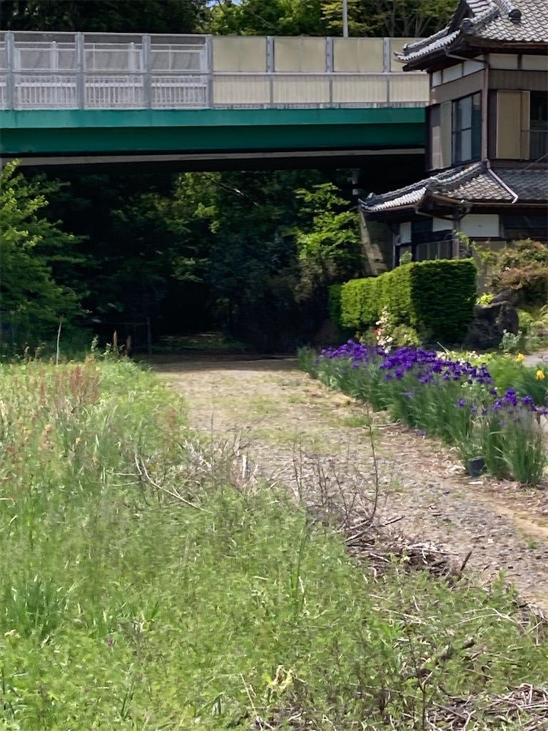 f:id:masaru-arameya:20220508061725j:image f:id:masaru-arameya:20220508061725j:image