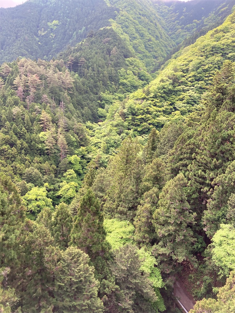 f:id:masaru-arameya:20220508160821j:image f:id:masaru-arameya:20220508160821j:image