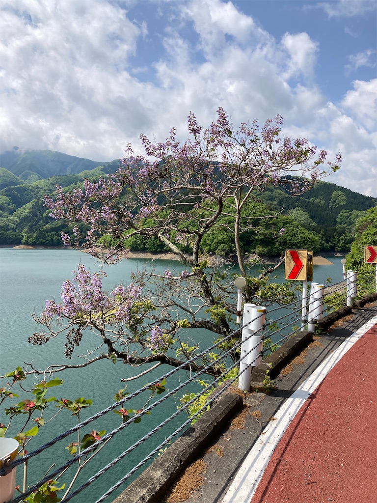 f:id:masaru-arameya:20220508164045j:image f:id:masaru-arameya:20220508164045j:image