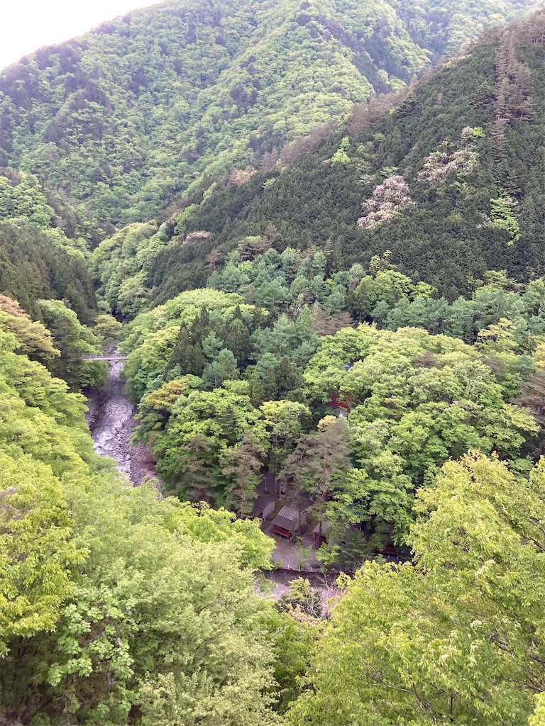 f:id:masaru-arameya:20220508164924j:image f:id:masaru-arameya:20220508164924j:image