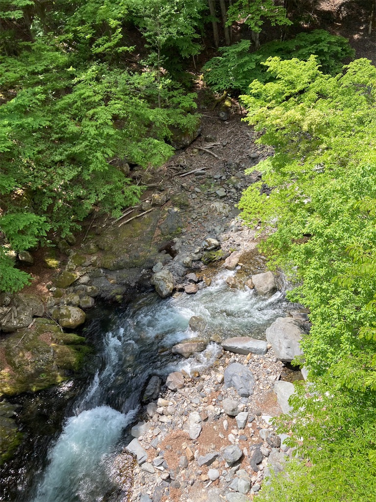 f:id:masaru-arameya:20220508165206j:image f:id:masaru-arameya:20220508165206j:image