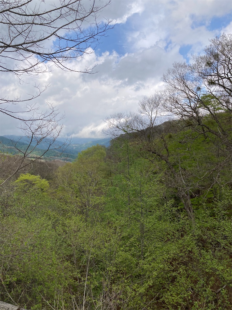 f:id:masaru-arameya:20220508165712j:image f:id:masaru-arameya:20220508165712j:image