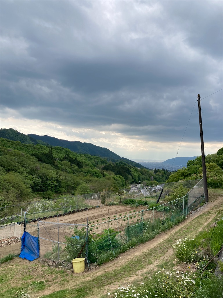 f:id:masaru-arameya:20220511112334j:image f:id:masaru-arameya:20220511112334j:image