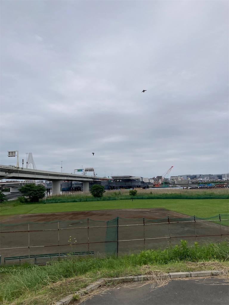 f:id:masaru-arameya:20220515155216j:image f:id:masaru-arameya:20220515155216j:image