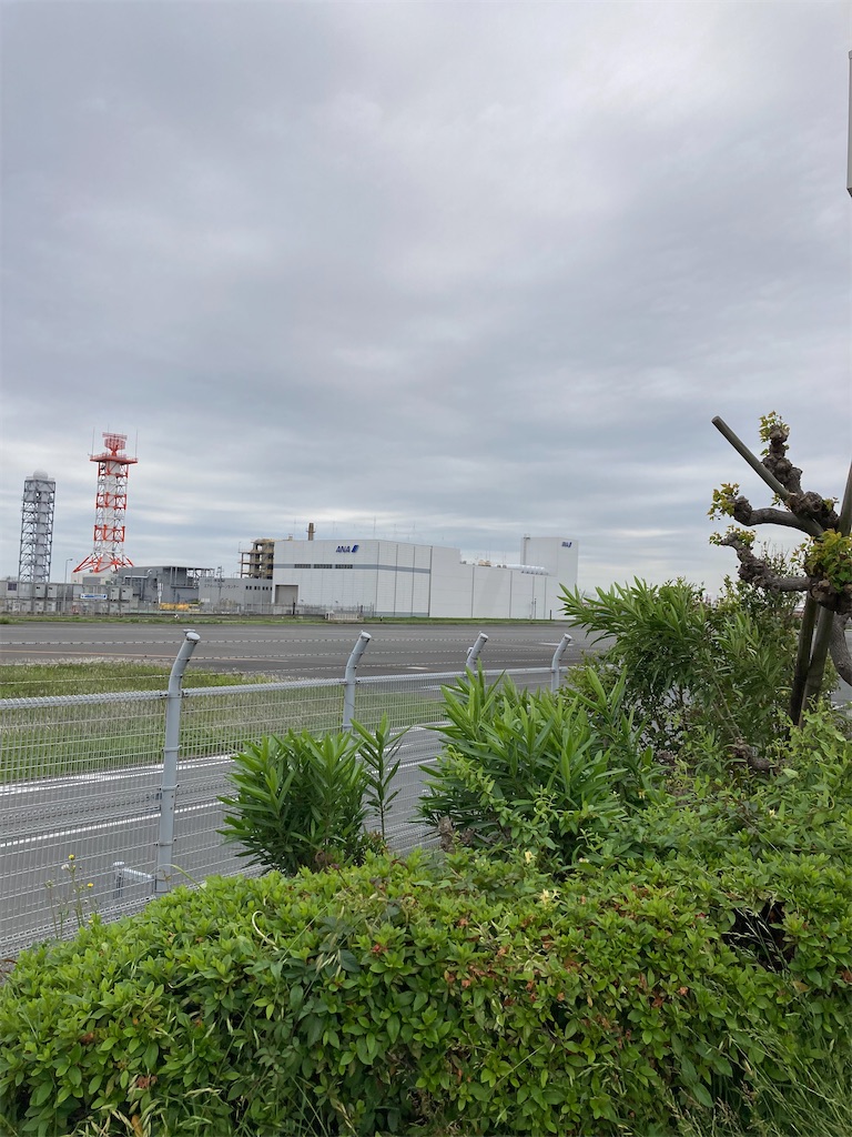 f:id:masaru-arameya:20220515160526j:image f:id:masaru-arameya:20220515160526j:image
