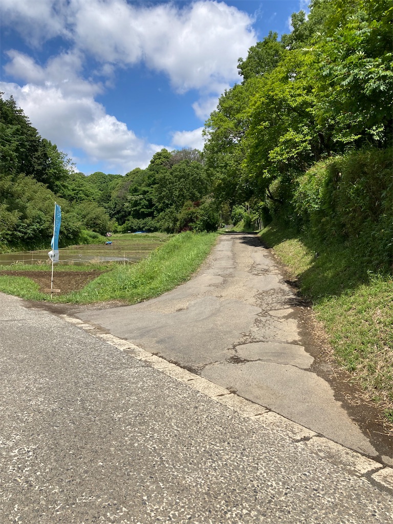 f:id:masaru-arameya:20220523070250j:image f:id:masaru-arameya:20220523070250j:image