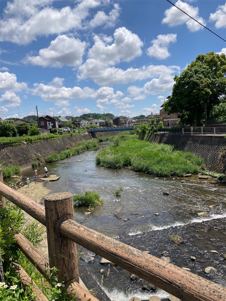 f:id:masaru-arameya:20220523070359j:image f:id:masaru-arameya:20220523070359j:image