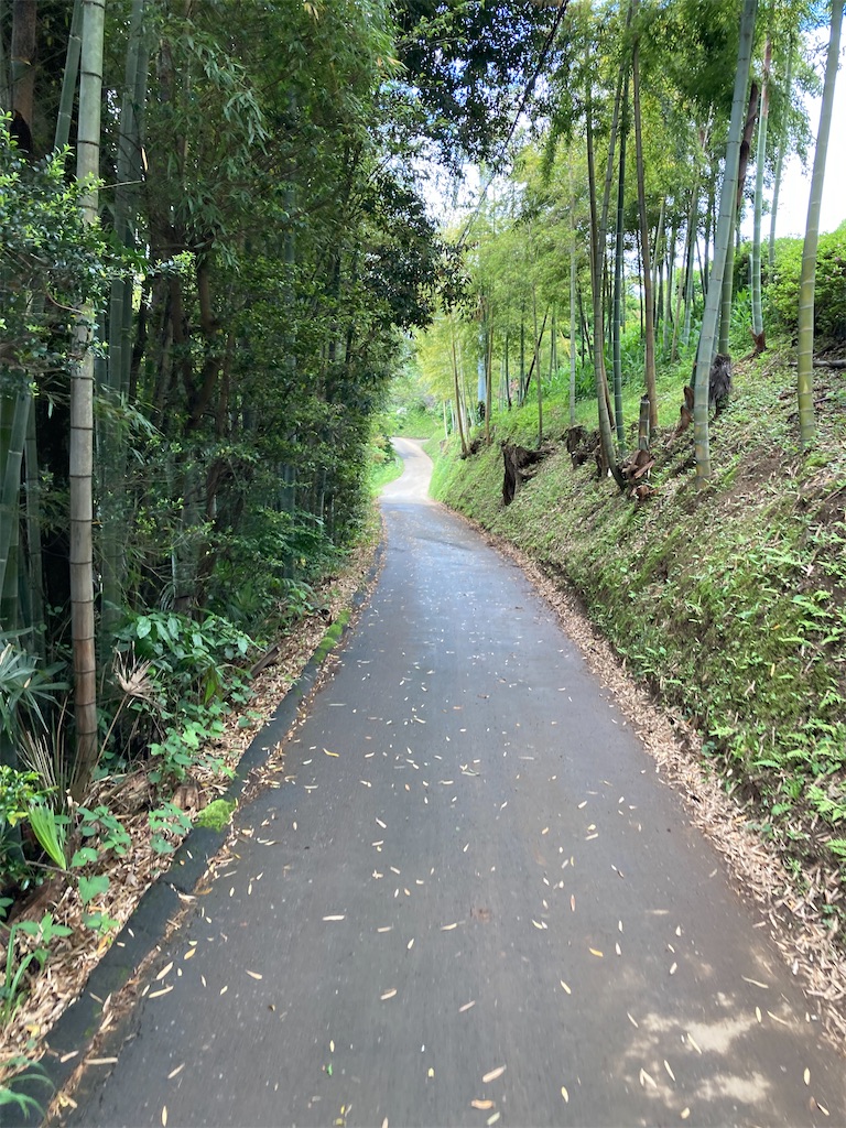 f:id:masaru-arameya:20220524115748j:image f:id:masaru-arameya:20220524115748j:image