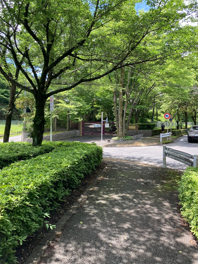 f:id:masaru-arameya:20220524120210j:image f:id:masaru-arameya:20220524120210j:image