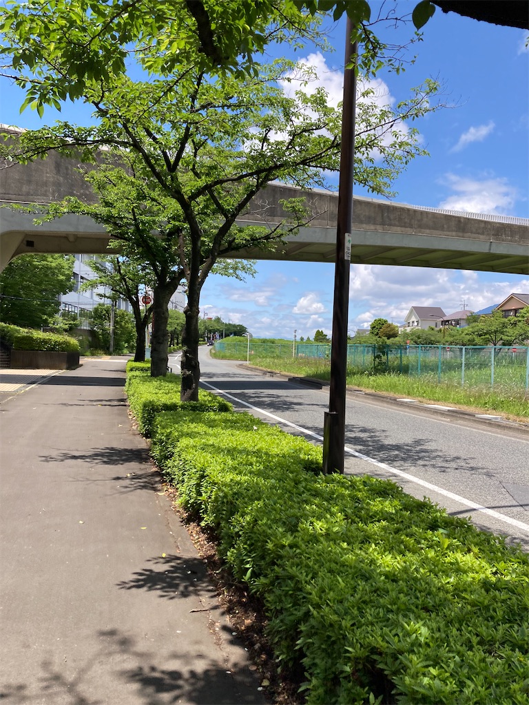 f:id:masaru-arameya:20220524120349j:image f:id:masaru-arameya:20220524120349j:image