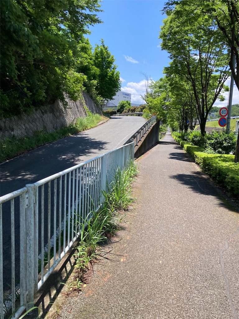 f:id:masaru-arameya:20220524120456j:image f:id:masaru-arameya:20220524120456j:image