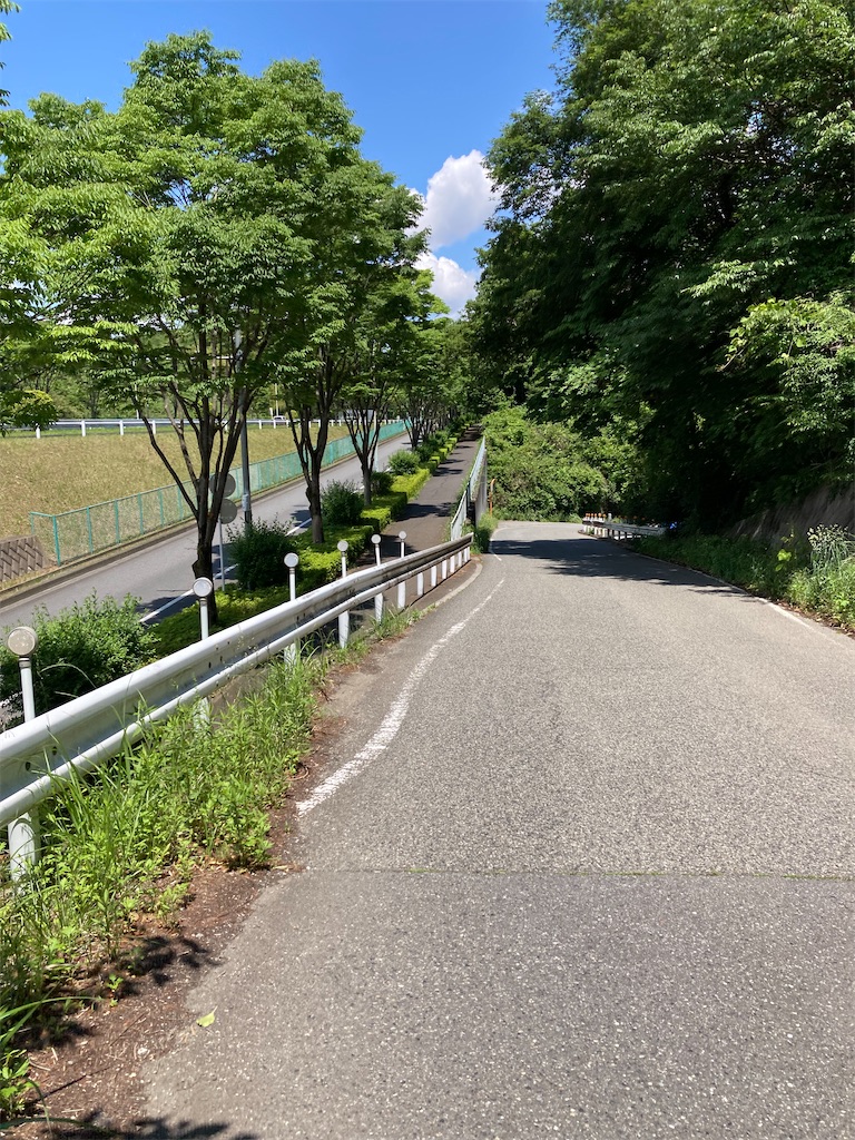 f:id:masaru-arameya:20220524120533j:image f:id:masaru-arameya:20220524120533j:image