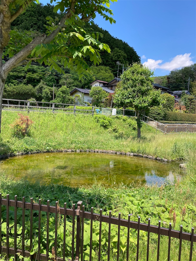 f:id:masaru-arameya:20220524120635j:image f:id:masaru-arameya:20220524120635j:image