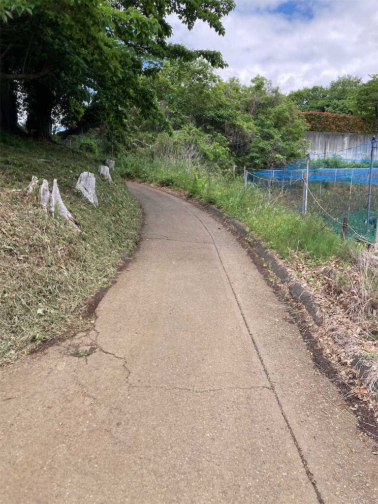 f:id:masaru-arameya:20220525202254j:image f:id:masaru-arameya:20220525202254j:image