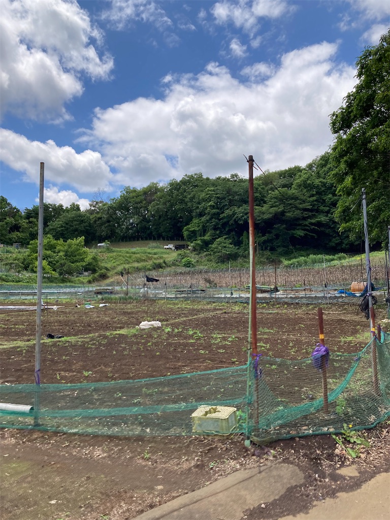 f:id:masaru-arameya:20220525202257j:image f:id:masaru-arameya:20220525202257j:image