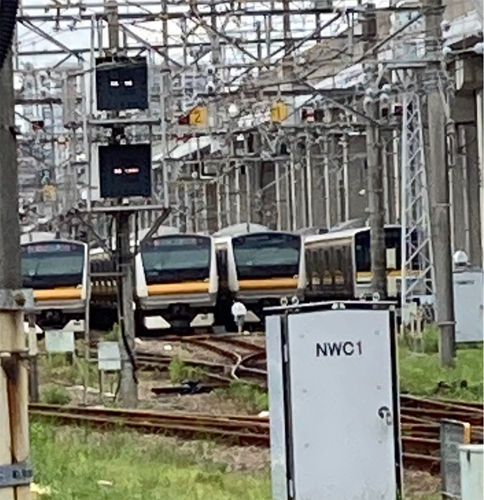 f:id:masaru-arameya:20220531184734j:image f:id:masaru-arameya:20220531184734j:image