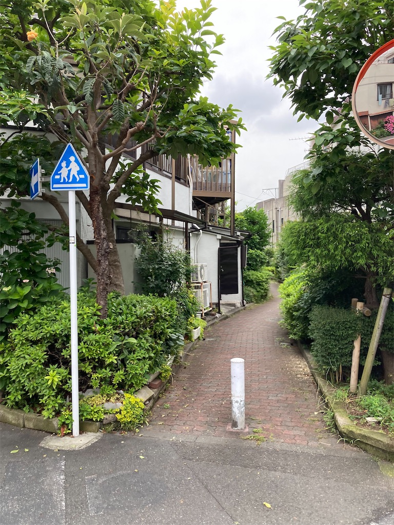 f:id:masaru-arameya:20220611171734j:image f:id:masaru-arameya:20220611171734j:image