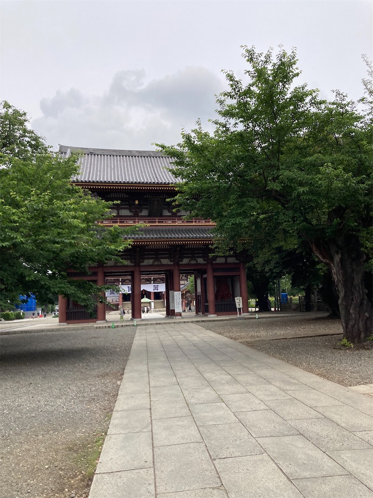 f:id:masaru-arameya:20220611171944j:image f:id:masaru-arameya:20220611171944j:image