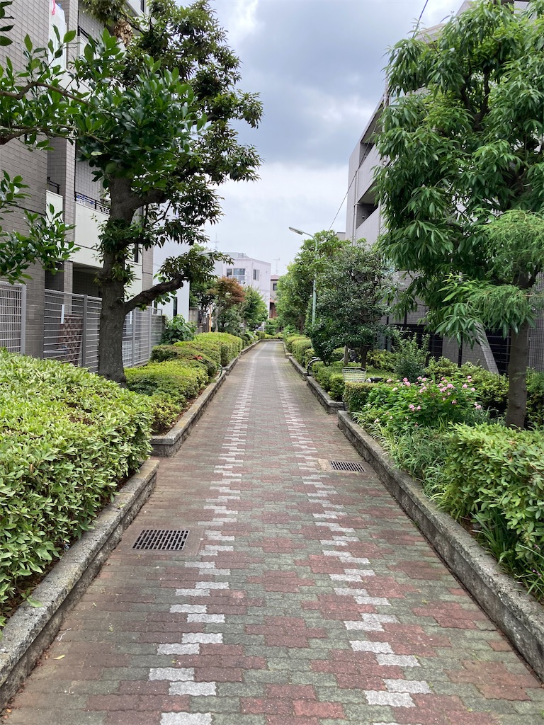 f:id:masaru-arameya:20220611172015j:image f:id:masaru-arameya:20220611172015j:image