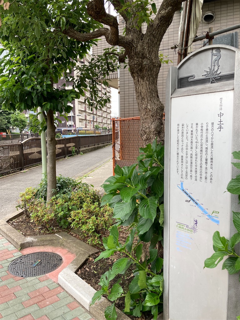 f:id:masaru-arameya:20220611172019j:image f:id:masaru-arameya:20220611172019j:image