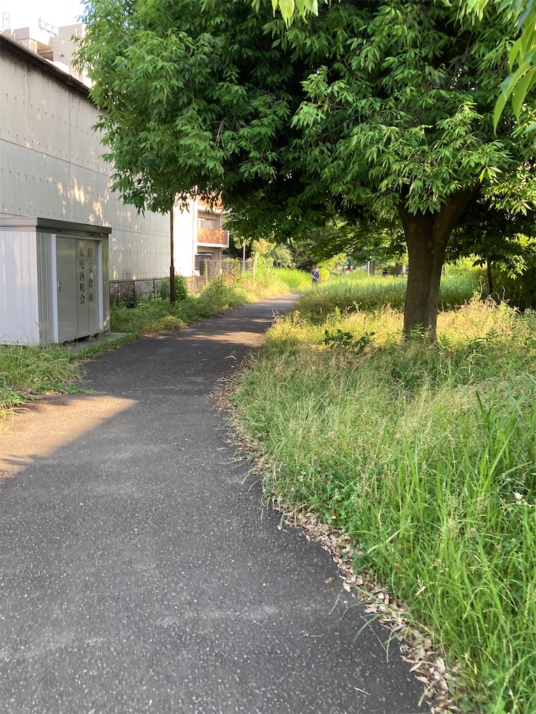 f:id:masaru-arameya:20220611211217j:image f:id:masaru-arameya:20220611211217j:image