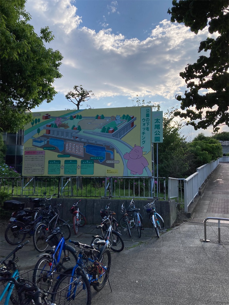 f:id:masaru-arameya:20220611211312j:image f:id:masaru-arameya:20220611211312j:image