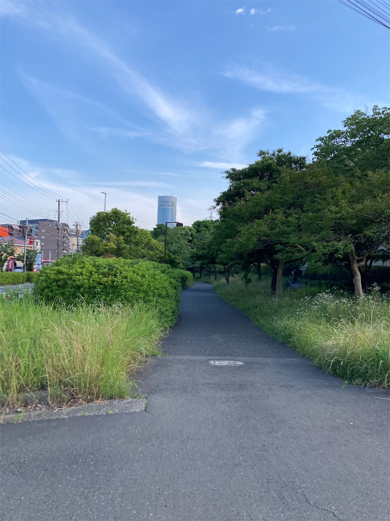 f:id:masaru-arameya:20220611211315j:image f:id:masaru-arameya:20220611211315j:image